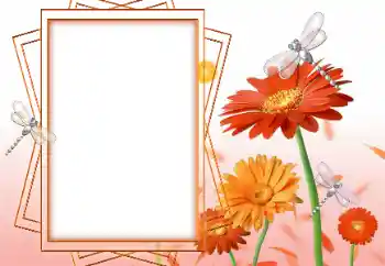 श्रेणी से फ़ोटो प्रभाव महिलाओं के फोटो फ्रेम № 47199