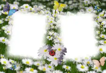 श्रेणी से फ़ोटो प्रभाव महिलाओं के फोटो फ्रेम № 49398