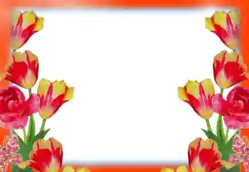 श्रेणी से फ़ोटो प्रभाव महिलाओं के फोटो फ्रेम № 49414