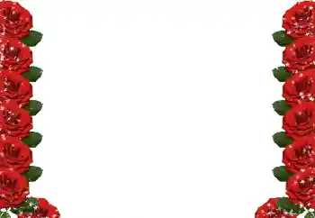 श्रेणी से फ़ोटो प्रभाव महिलाओं के फोटो फ्रेम № 49424