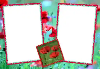 श्रेणी से फ़ोटो प्रभाव महिलाओं के फोटो फ्रेम № 49428