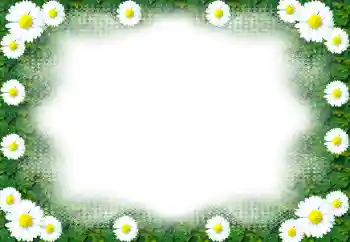 श्रेणी से फ़ोटो प्रभाव महिलाओं के फोटो फ्रेम № 49443