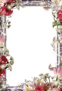 श्रेणी से फ़ोटो प्रभाव महिलाओं के फोटो फ्रेम № 49550