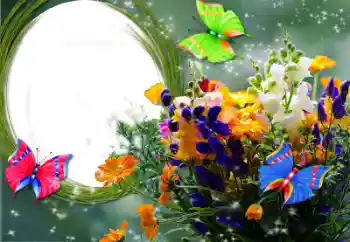 श्रेणी से फ़ोटो प्रभाव महिलाओं के फोटो फ्रेम № 50643