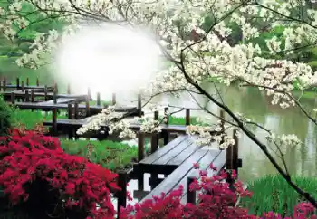 श्रेणी से फ़ोटो प्रभाव महिलाओं के फोटो फ्रेम № 50653