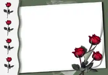 श्रेणी से फ़ोटो प्रभाव महिलाओं के फोटो फ्रेम № 50854