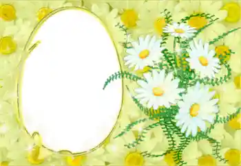 श्रेणी से फ़ोटो प्रभाव महिलाओं के फोटो फ्रेम № 50878