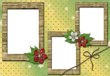 श्रेणी से फ़ोटो प्रभाव महिलाओं के फोटो फ्रेम № 51970