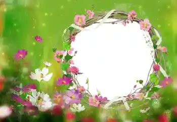 श्रेणी से फ़ोटो प्रभाव महिलाओं के फोटो फ्रेम № 52077