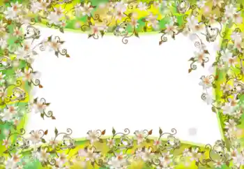 श्रेणी से फ़ोटो प्रभाव महिलाओं के फोटो फ्रेम № 52181