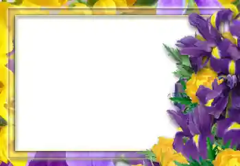 श्रेणी से फ़ोटो प्रभाव महिलाओं के फोटो फ्रेम № 52253