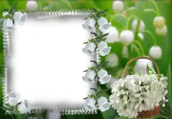 श्रेणी से फ़ोटो प्रभाव महिलाओं के फोटो फ्रेम № 53368