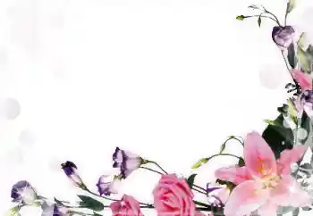 श्रेणी से फ़ोटो प्रभाव महिलाओं के फोटो फ्रेम № 55396