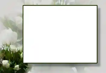 श्रेणी से फ़ोटो प्रभाव महिलाओं के फोटो फ्रेम № 55444