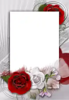 श्रेणी से फ़ोटो प्रभाव महिलाओं के फोटो फ्रेम № 55454