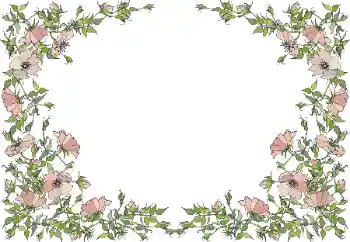 श्रेणी से फ़ोटो प्रभाव महिलाओं के फोटो फ्रेम № 55495