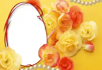 श्रेणी से फ़ोटो प्रभाव महिलाओं के फोटो फ्रेम № 55528