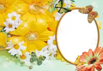 श्रेणी से फ़ोटो प्रभाव महिलाओं के फोटो फ्रेम № 55529