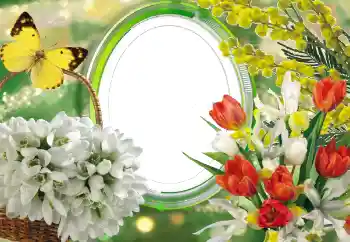 श्रेणी से फ़ोटो प्रभाव महिलाओं के फोटो फ्रेम № 56529