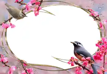 श्रेणी से फ़ोटो प्रभाव महिलाओं के फोटो फ्रेम № 56627