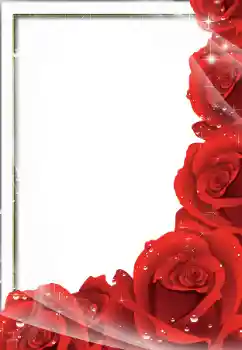 श्रेणी से फ़ोटो प्रभाव महिलाओं के फोटो फ्रेम № 57683