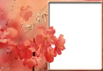 श्रेणी से फ़ोटो प्रभाव महिलाओं के फोटो फ्रेम № 57711