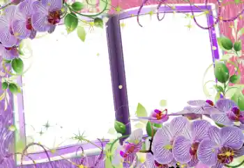 श्रेणी से फ़ोटो प्रभाव महिलाओं के फोटो फ्रेम № 58759