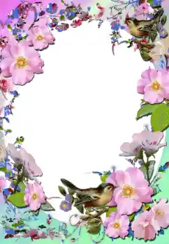 श्रेणी से फ़ोटो प्रभाव महिलाओं के फोटो फ्रेम № 58779