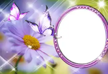 श्रेणी से फ़ोटो प्रभाव महिलाओं के फोटो फ्रेम № 60196