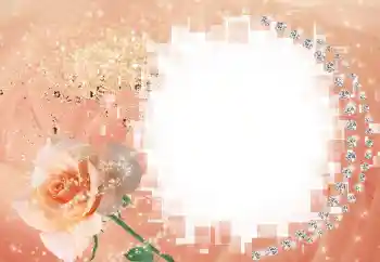 श्रेणी से फ़ोटो प्रभाव महिलाओं के फोटो फ्रेम № 60395