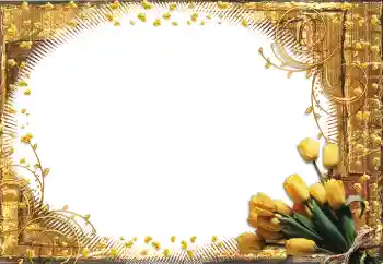 श्रेणी से फ़ोटो प्रभाव महिलाओं के फोटो फ्रेम № 60398