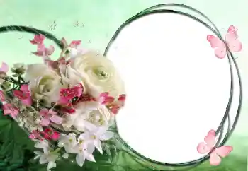 श्रेणी से फ़ोटो प्रभाव महिलाओं के फोटो फ्रेम № 60415