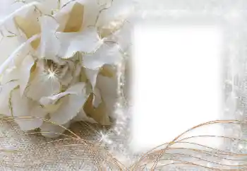 श्रेणी से फ़ोटो प्रभाव महिलाओं के फोटो फ्रेम № 60472