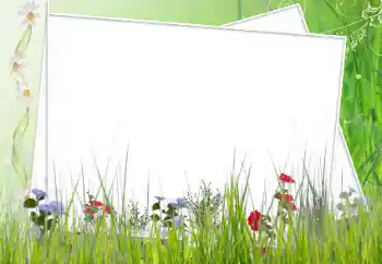 श्रेणी से फ़ोटो प्रभाव महिलाओं के फोटो फ्रेम № 62627