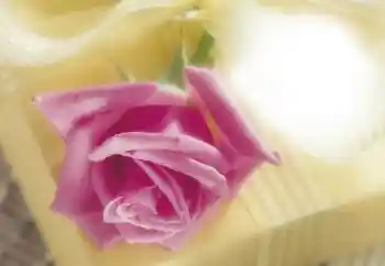 श्रेणी से फ़ोटो प्रभाव महिलाओं के फोटो फ्रेम № 64263