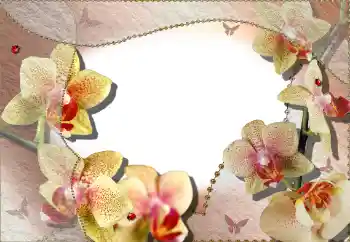 श्रेणी से फ़ोटो प्रभाव महिलाओं के फोटो फ्रेम № 64386