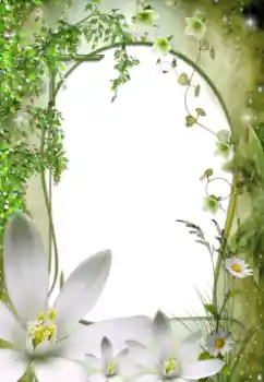 श्रेणी से फ़ोटो प्रभाव महिलाओं के फोटो फ्रेम № 64492