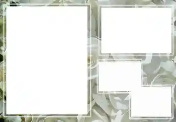 श्रेणी से फ़ोटो प्रभाव महिलाओं के फोटो फ्रेम № 65658