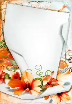 श्रेणी से फ़ोटो प्रभाव महिलाओं के फोटो फ्रेम № 68450