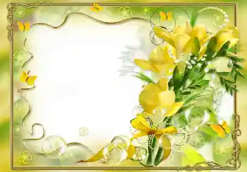 श्रेणी से फ़ोटो प्रभाव महिलाओं के फोटो फ्रेम № 68458