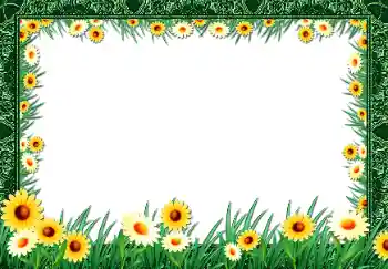 श्रेणी से फ़ोटो प्रभाव महिलाओं के फोटो फ्रेम № 68477