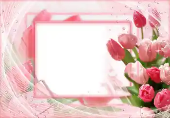 श्रेणी से फ़ोटो प्रभाव महिलाओं के फोटो फ्रेम № 68546