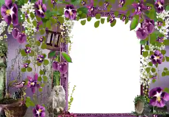 श्रेणी से फ़ोटो प्रभाव महिलाओं के फोटो फ्रेम № 68582