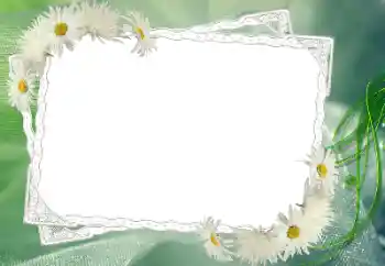 श्रेणी से फ़ोटो प्रभाव महिलाओं के फोटो फ्रेम № 68583