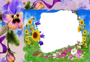 श्रेणी से फ़ोटो प्रभाव महिलाओं के फोटो फ्रेम № 68630