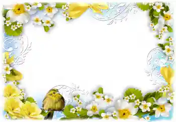 श्रेणी से फ़ोटो प्रभाव महिलाओं के फोटो फ्रेम № 68720