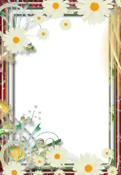 श्रेणी से फ़ोटो प्रभाव महिलाओं के फोटो फ्रेम № 68805