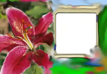 श्रेणी से फ़ोटो प्रभाव महिलाओं के फोटो फ्रेम № 69843