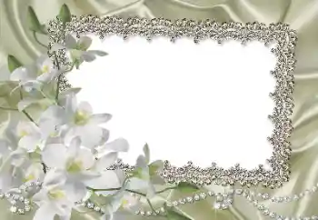 श्रेणी से फ़ोटो प्रभाव महिलाओं के फोटो फ्रेम № 69861