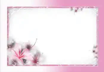 श्रेणी से फ़ोटो प्रभाव महिलाओं के फोटो फ्रेम № 70888